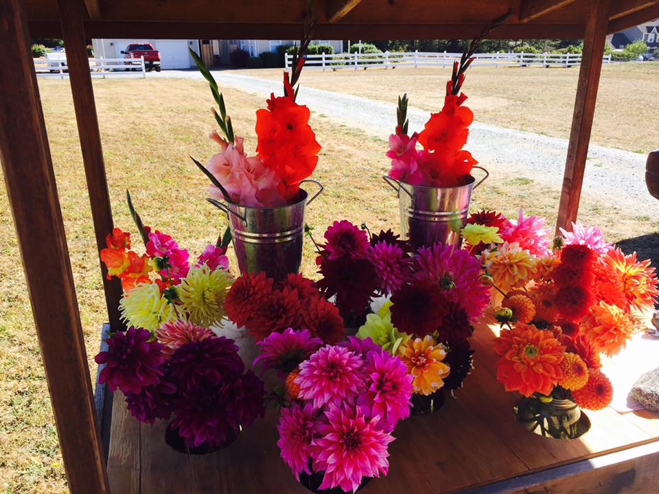Flower Stands, Whidbey Island