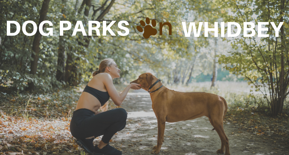Dog Parks on Whidbey, whidbey Island, coupeville, Windermere